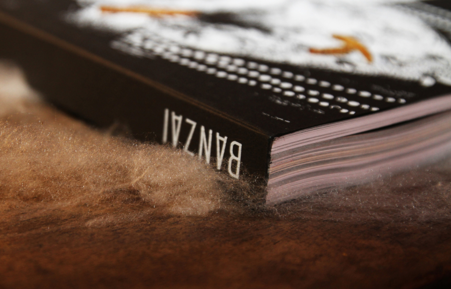 BANZAI Horror / Special Edition / 666 copies.