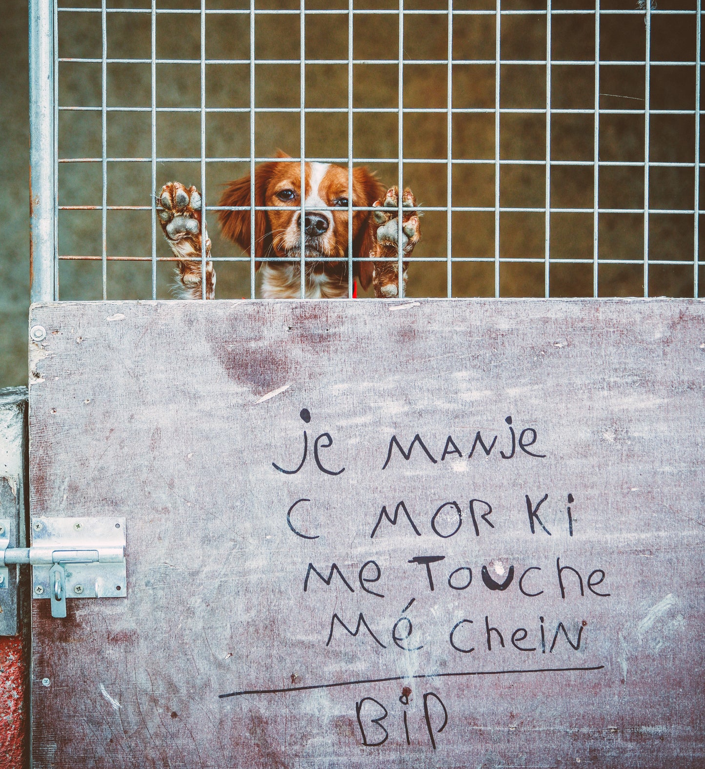 I EAT IT MOR / Vilarem & Le Gac Fotobuch