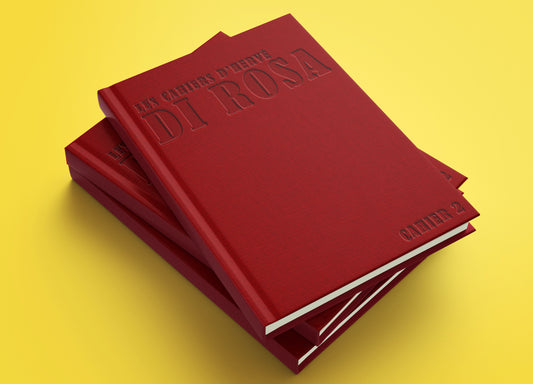 Hervé DI ROSA Notebook / Second issue