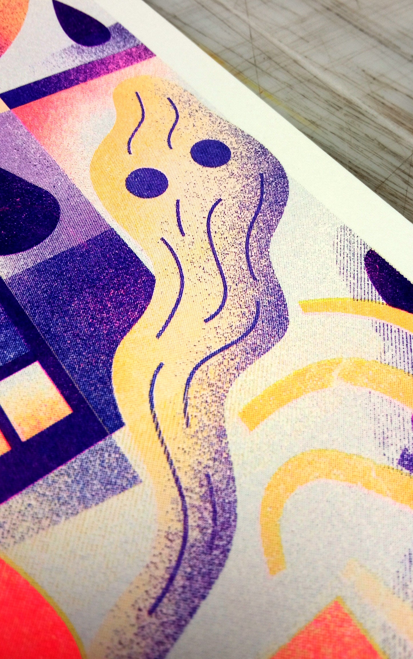Mr Skull and the burning house / Riso NIARK1