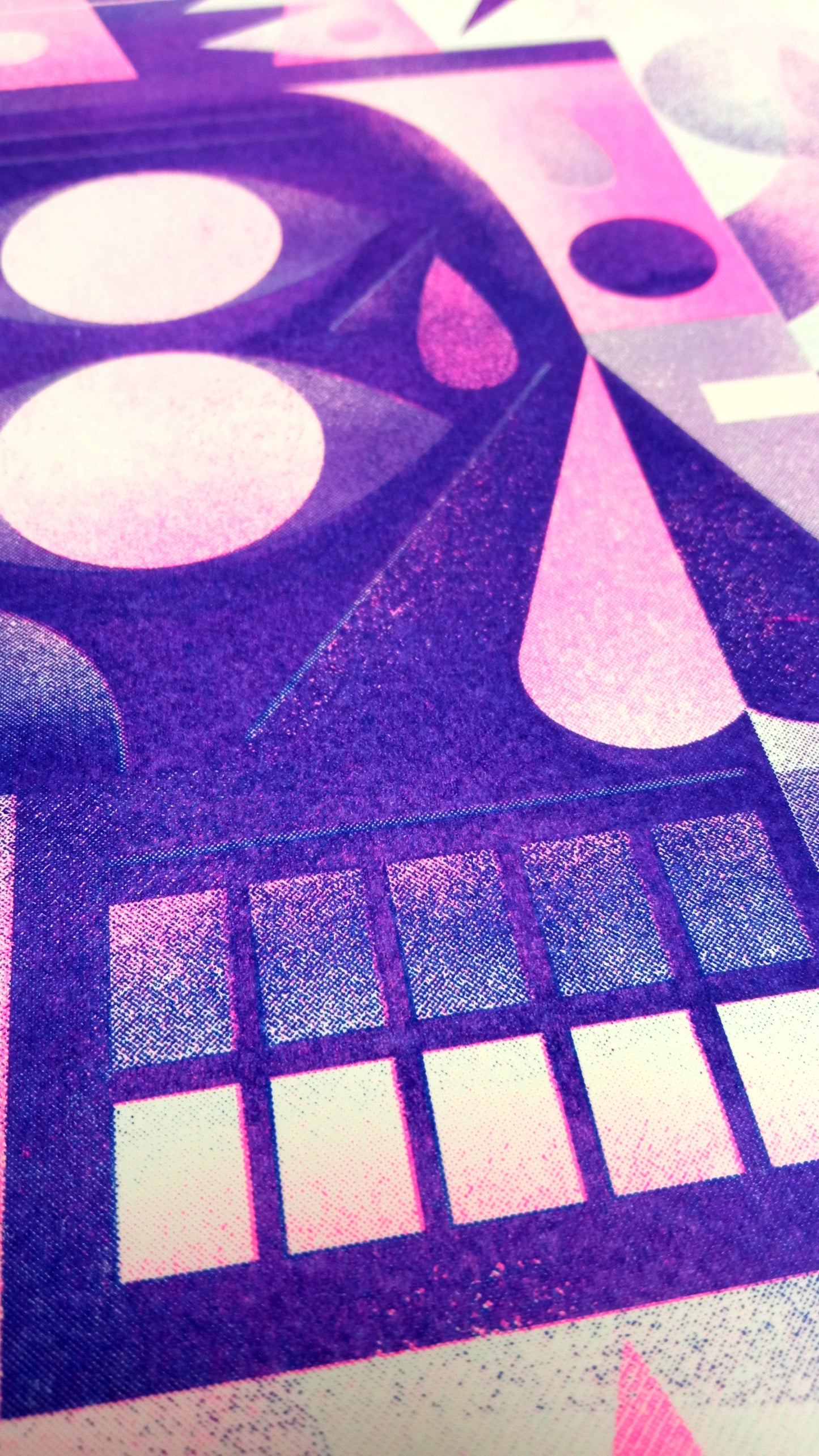 Mr Skull and the burning house / Riso NIARK1