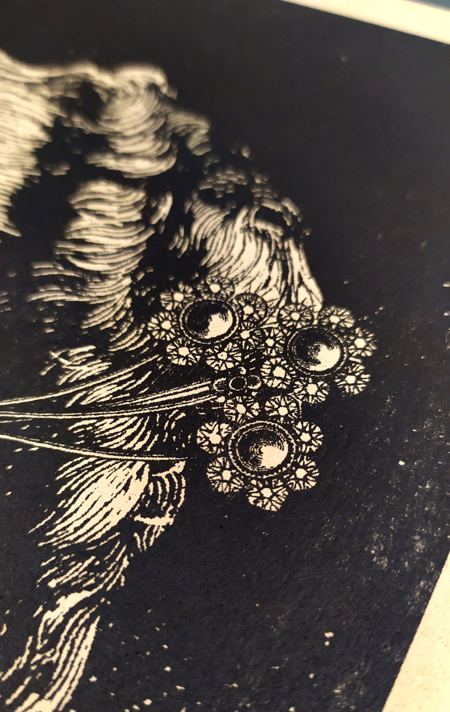 The Fledge / Riso Andrew Blucha