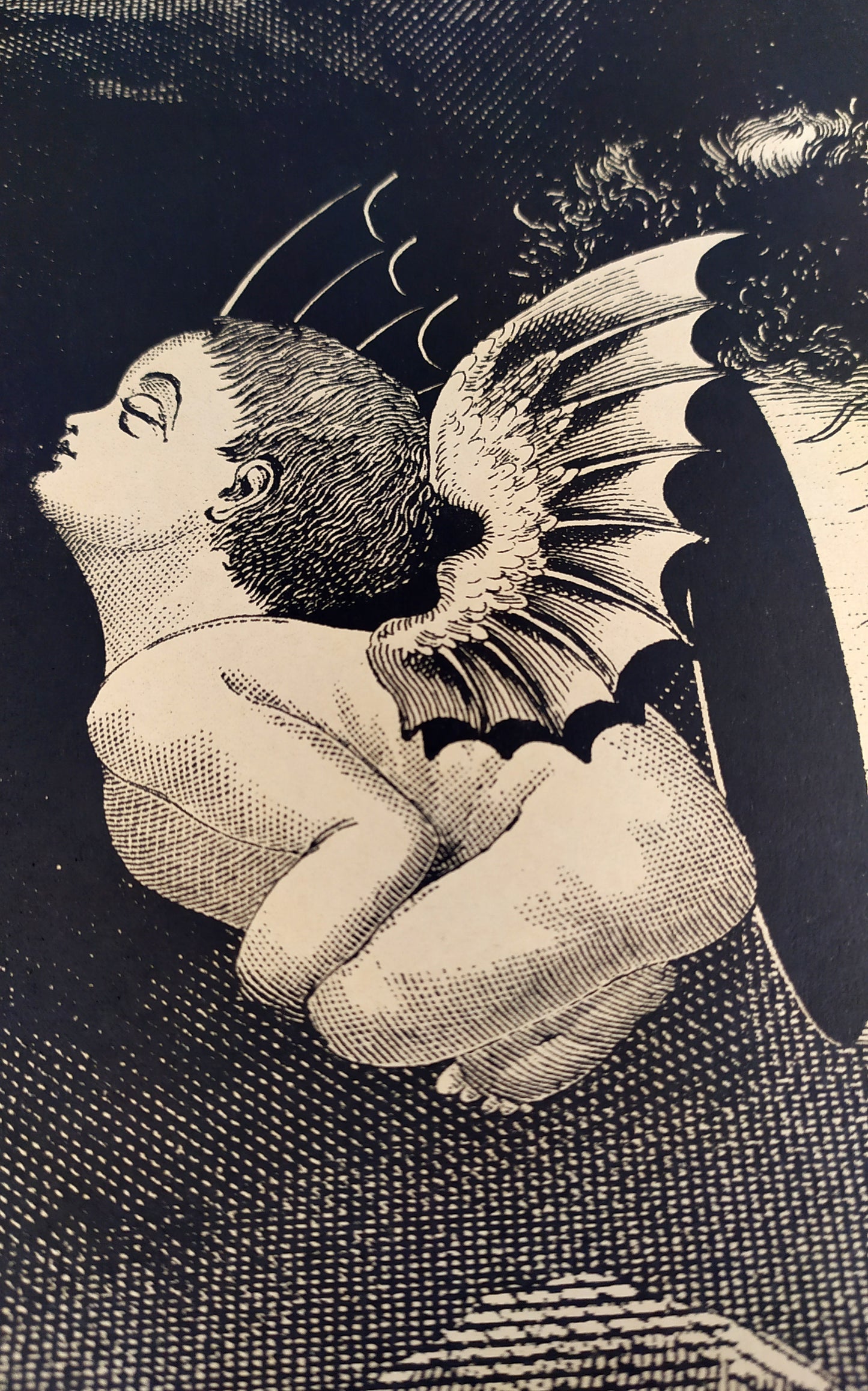 The Fledge / Riso Andrew Blucha