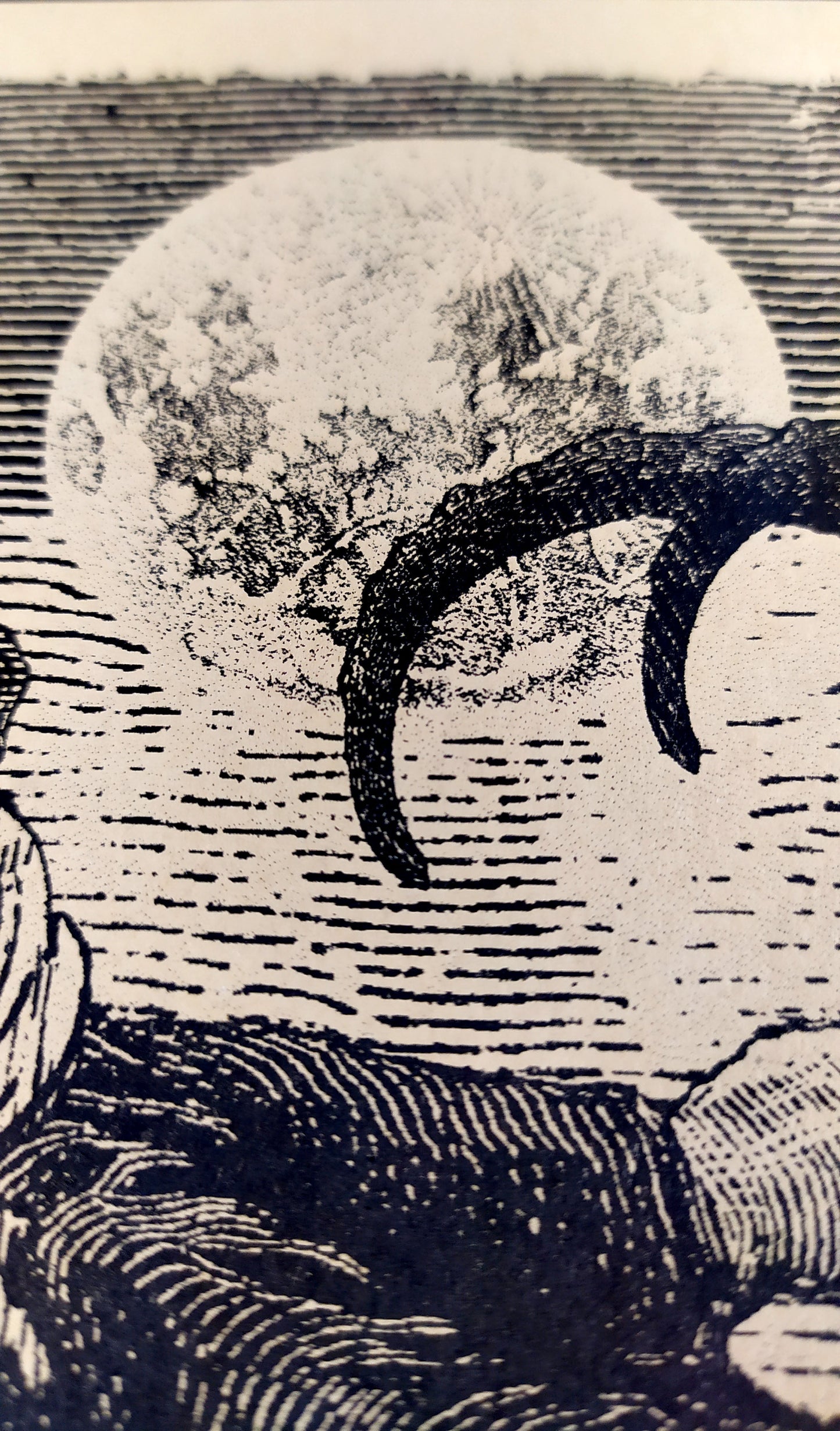 The Eternal Dance of Flames / Riso Andrew Blucha