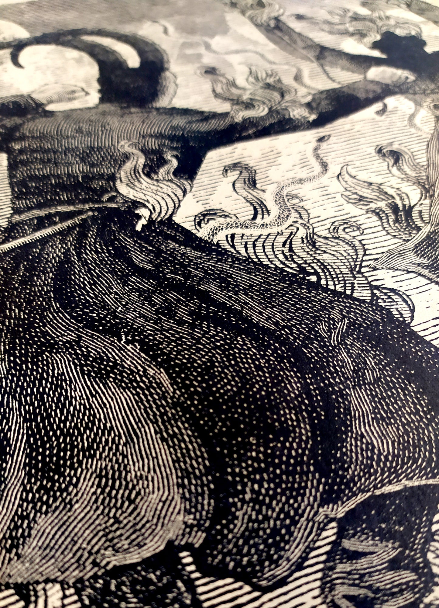 The Eternal Dance of Flames / Riso Andrew Blucha
