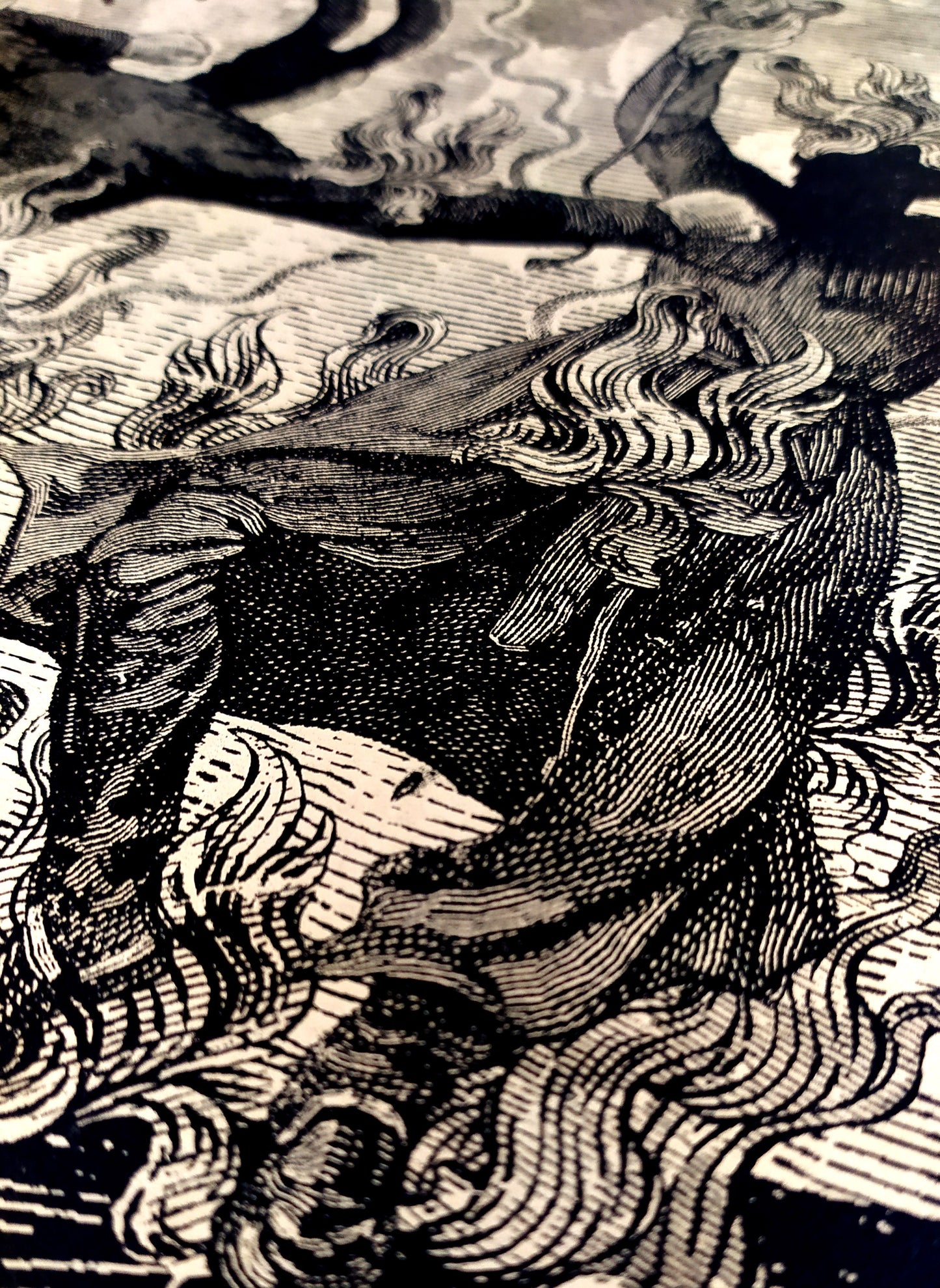 The Eternal Dance of Flames / Riso Andrew Blucha