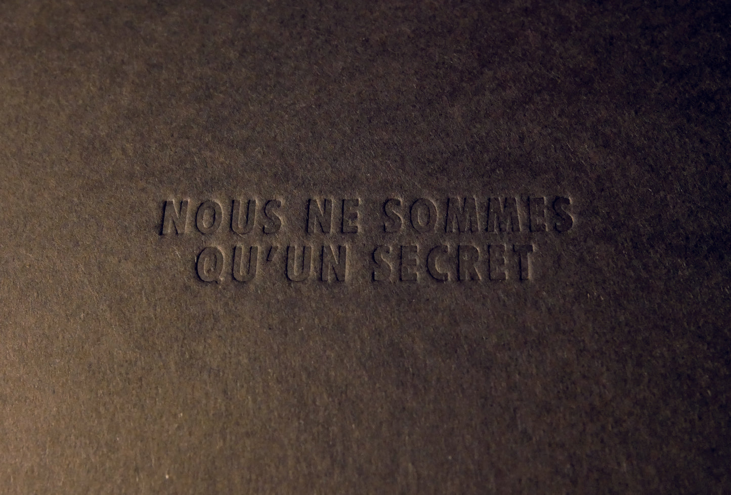 Nous ne sommes qu'un secret / Jean-Luc Navette