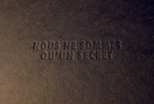 We are just a secret / Jean-Luc Navette
