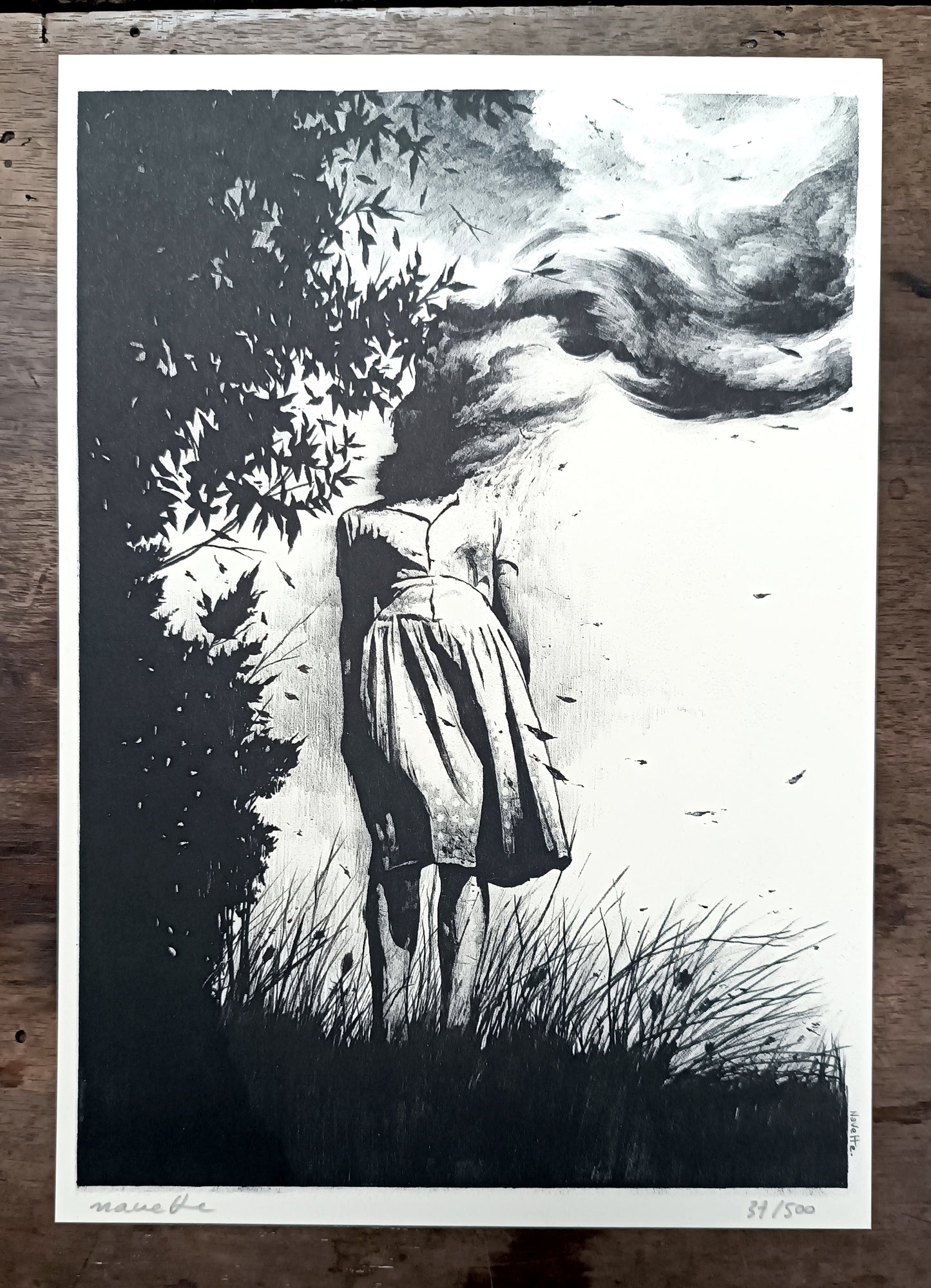 Collector's Box "We are only a secret" / Jean-Luc Navette