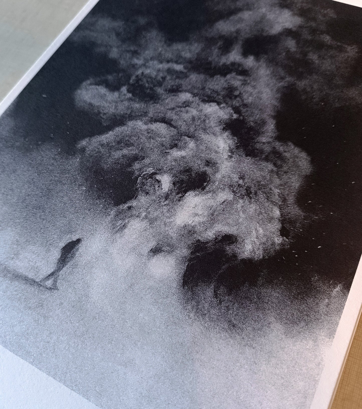 Mouvement Brownien / Risographie de Magdalena Lamri