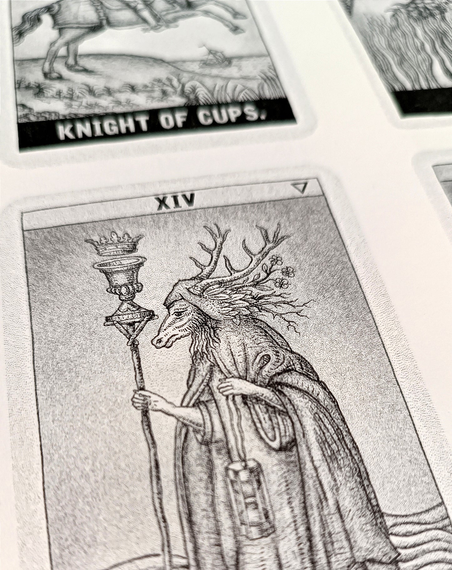 Tarot / Risographie de Daniel Martin Diaz