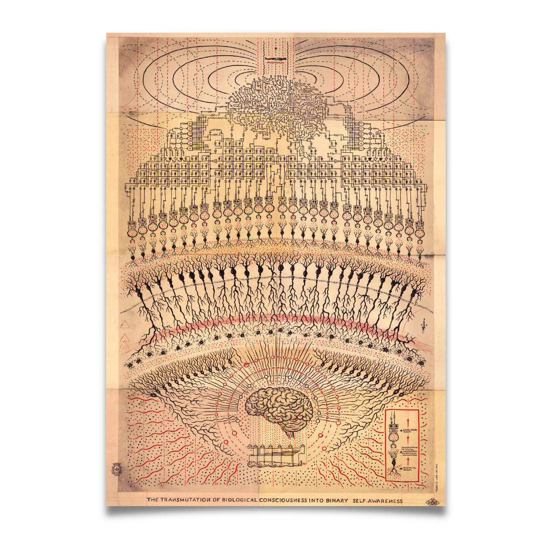 THE ART OF 19 / DANIEL MARTIN DIAZ