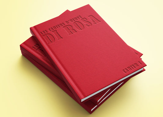 Hervé DI ROSA Notebook / First issue