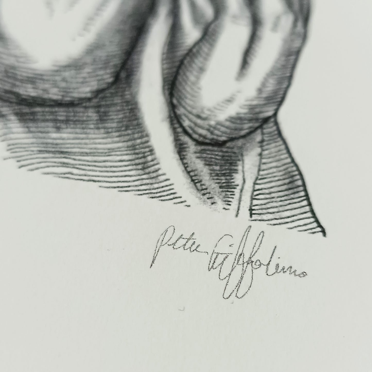 Anathema II / Peter Striffolino