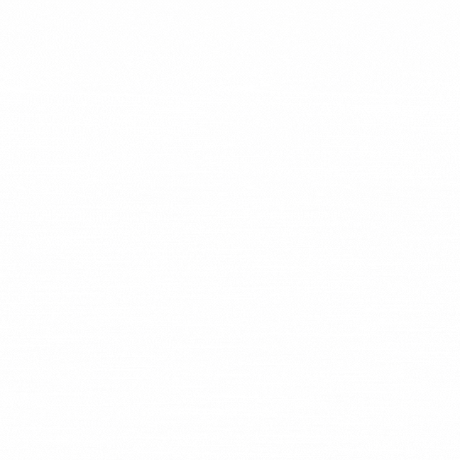 DIE KUNST DER 13 / JIM WOODRING